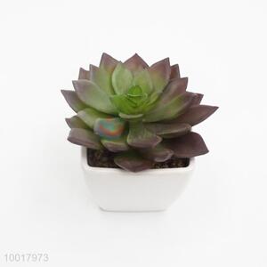 Artificial/Simulation Potted Plant of Purple Encrinite