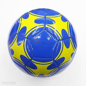 New exercise sport pvc soccer ball/football