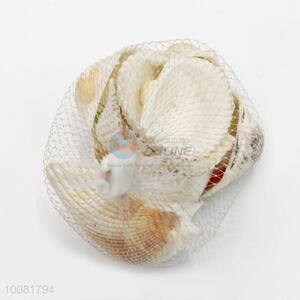 Factory Direct Price Seashell/<em>Shell</em> <em>Crafts</em>