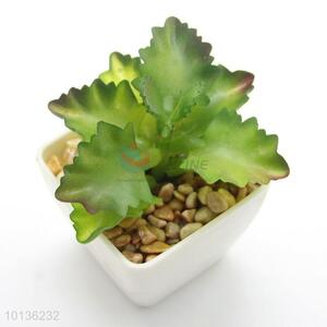 Vivid Artificial Green Succulent Plants