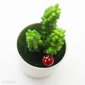 Wholesale Artificial Plants Home Decoration Succulent Plants