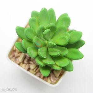 High Quality Artificial Succulent Plants