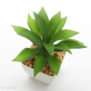 Home Decoration Wholesale Plastic Artificial Plants