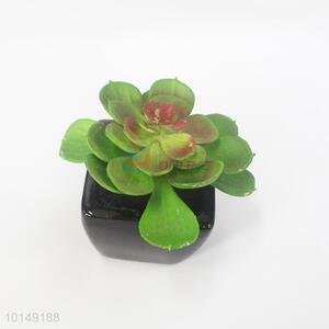 Top quality new arrival faux plant pot