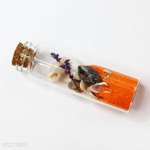 Pretty Cute Glass Wishing Bottle with Cork Cap