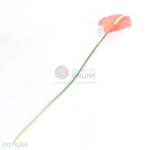 Factory promotional customized anthurium