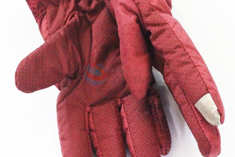 Normal low price high sales 2pcs women gloves