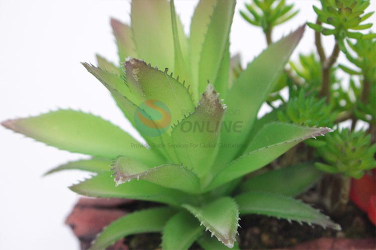 Latest Arrival Plastic Succulent Plant Ornamental Plants