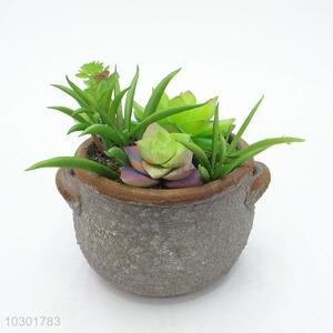 Fashion artificial succulent plant pot round flowerpot with 2 ears