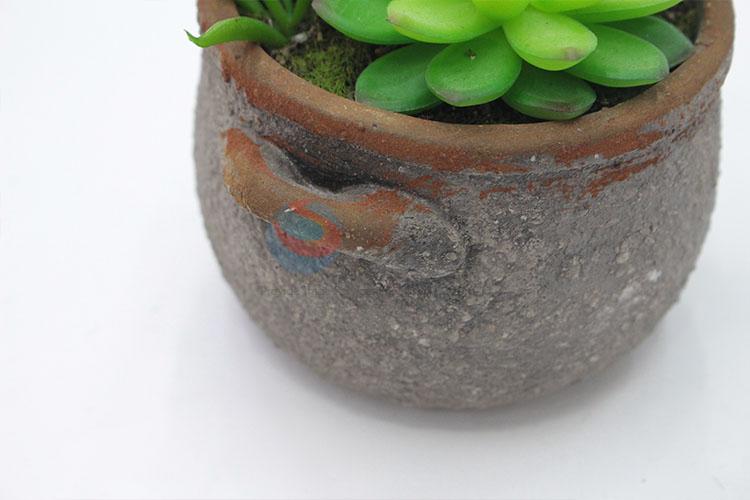 Fashion artificial succulent plant pot round flowerpot with 2 ears