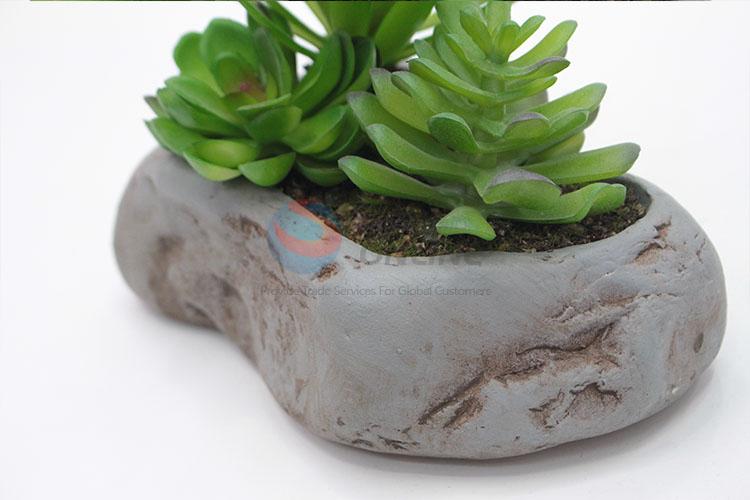 Popular promotional simulation succulent plants