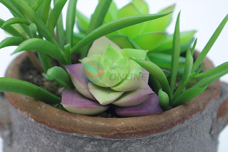 Fashion artificial succulent plant pot round flowerpot with 2 ears