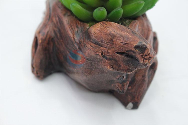 Best Selling Artificial Succulent Plants Home Decoration