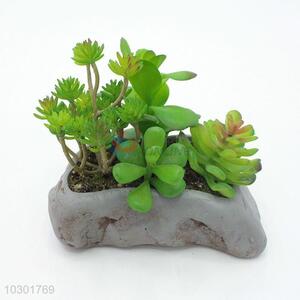 Nice classic cheap simulation succulent plants