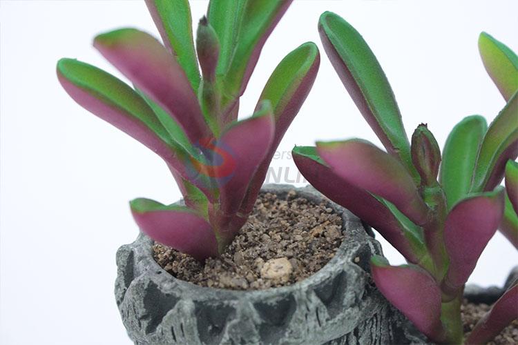 Top quality fake succulent plants/simulation plant