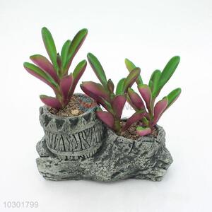 Top quality fake succulent plants/simulation plant