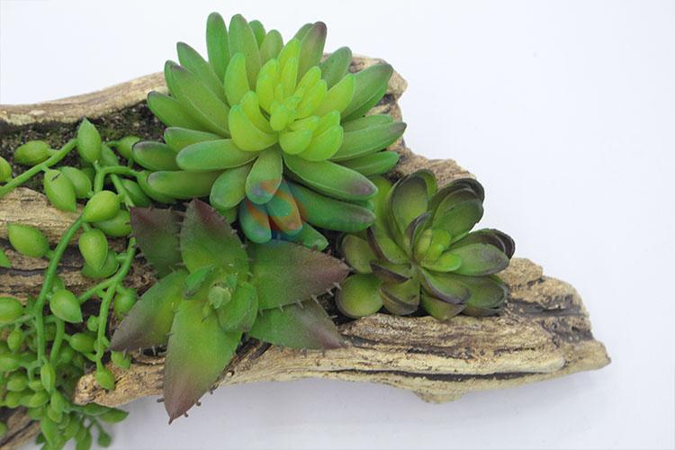 Wholesale Plastic Succulent Plant Ornamental Plants