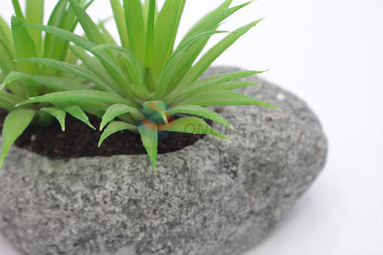 Good sale simulation succulent plants