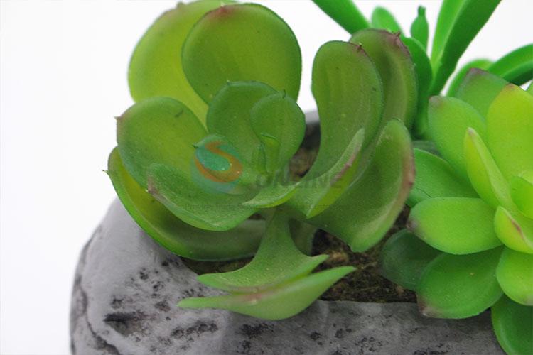 Popular promotional simulation succulent plants