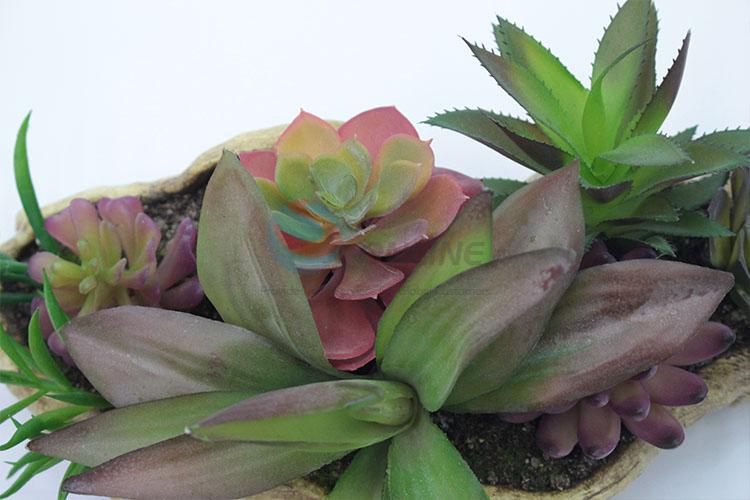 Customized Plastic Succulent Plant Ornamental Plants