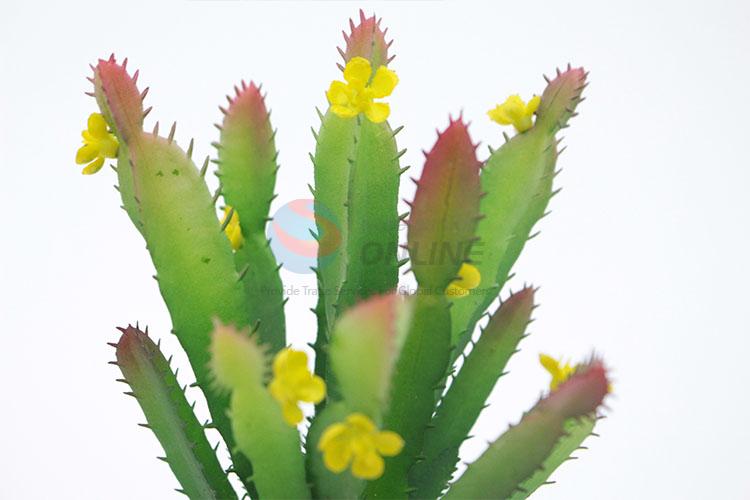 Low Price Plastic Succulent Plant Ornamental Plants