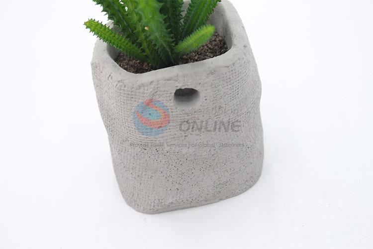 Comfortable Plastic Succulent Plant Ornamental Plants