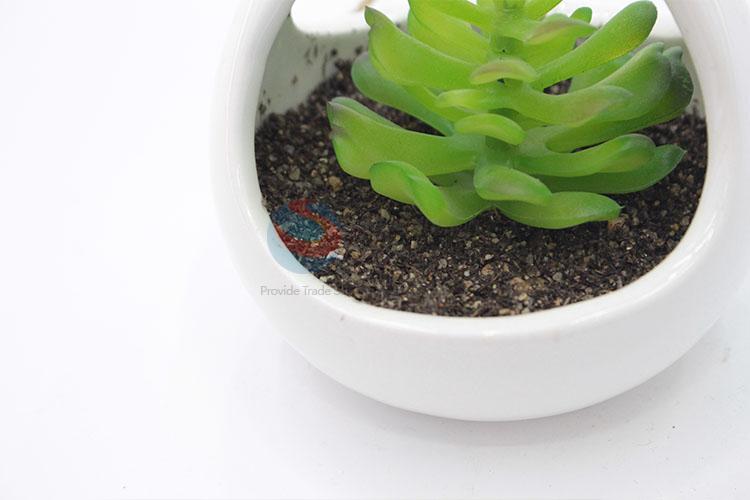 Unique Design Suspensible simulation succulent plants