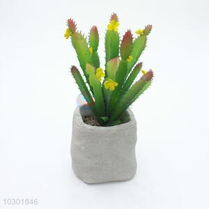 Low Price Plastic Succulent Plant Ornamental Plants