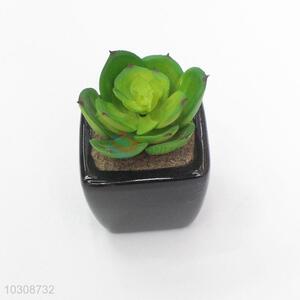 Made In China Wholesale Artificial Succulent Plants Home Decoration