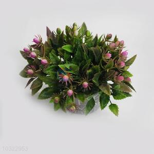 Wholesale custom cheap rose hip bonsai