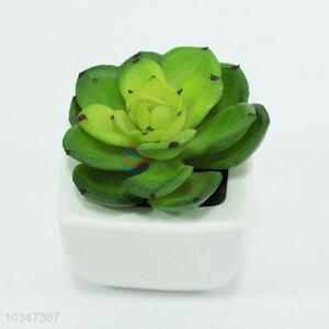 High quality succulent plants artificial green plant