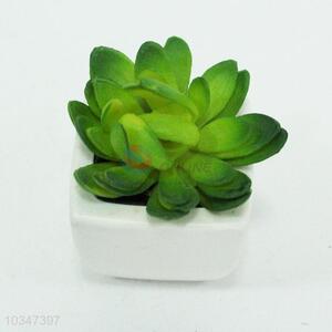 home decor artificial succulent plant in pot