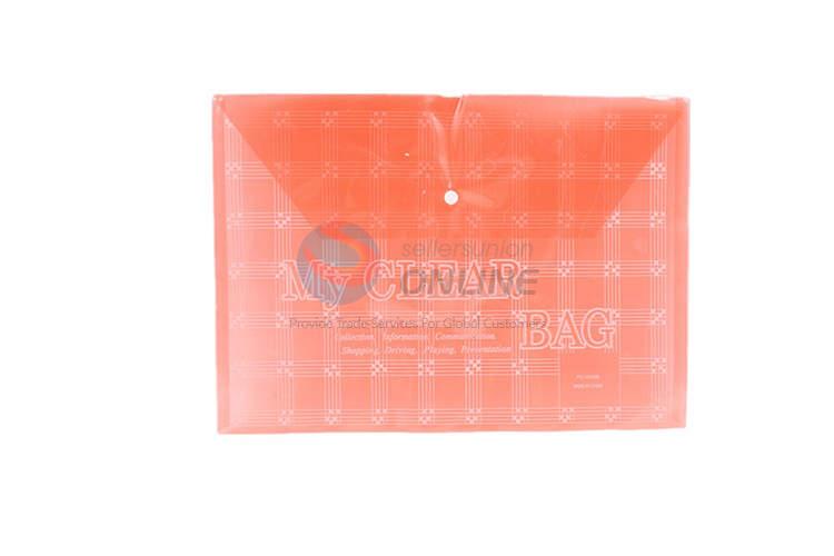 Transparent File Bag