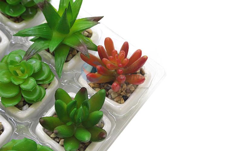 Best selling promotional artificial succulent plant