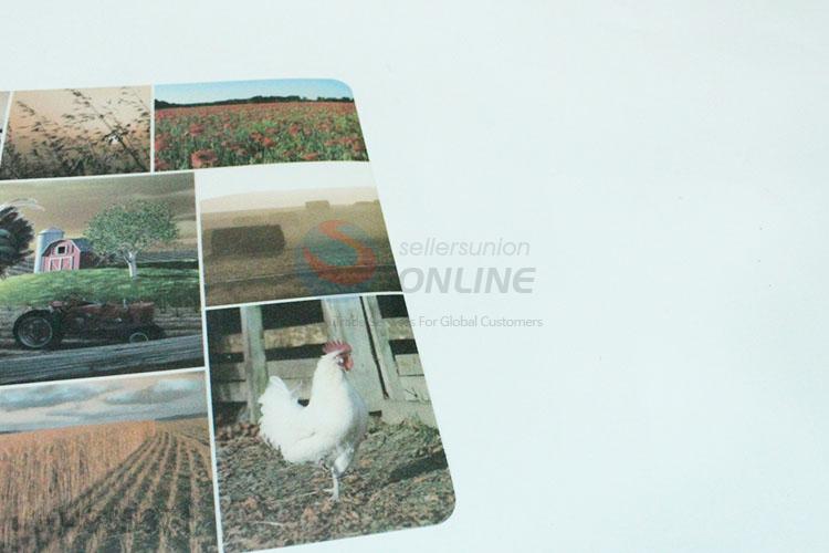 Best selling printing pp placemat