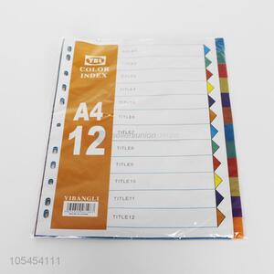 Unique Design 12 Pieces A4 Data Book Clear Book