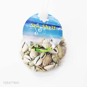 Newest Natural Sea <em>Shell</em> Fashion <em>Shell</em>/Conch <em>Crafts</em> Set