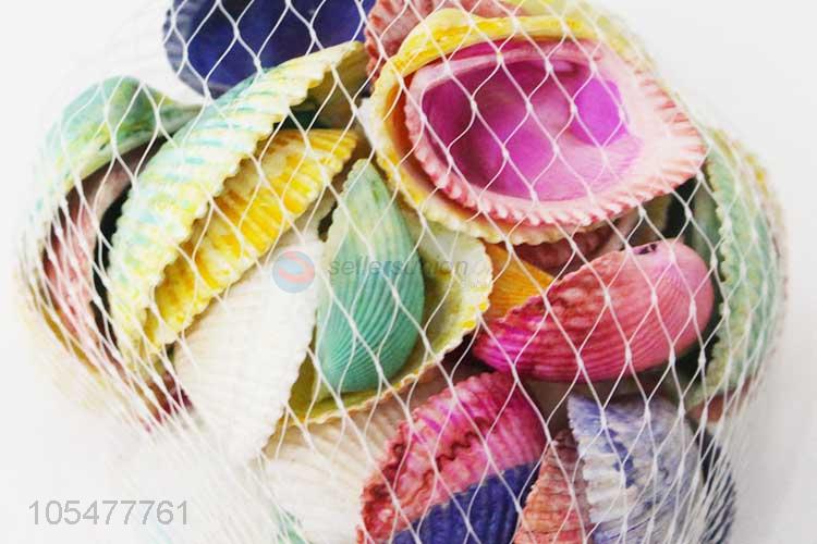 Hot Sale Colorful Sea Shell Decorative Shell Craft