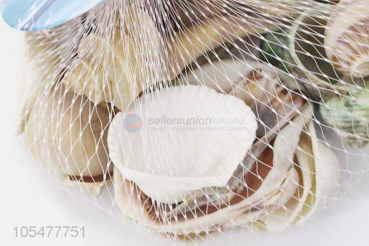 Good Quality Natural Sea Shell Fashion Decorative Craft