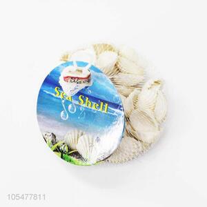 High Quality Natural Sea <em>Shell</em> Best Conch <em>Crafts</em>