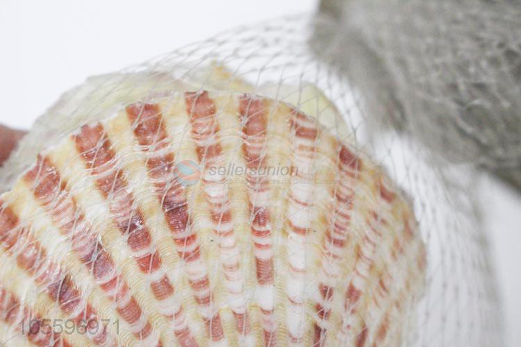 Wholesale Natural Shell Fashion Decorative Craft