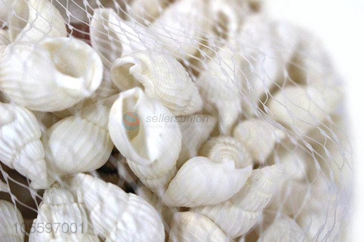 Wholesale Natural Shell Fashion Shell Craft