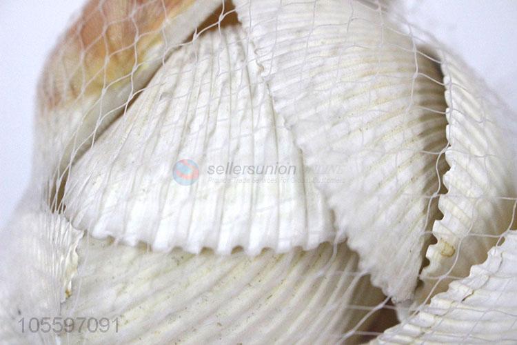 Best Sale Natural Decorative Shell Craft