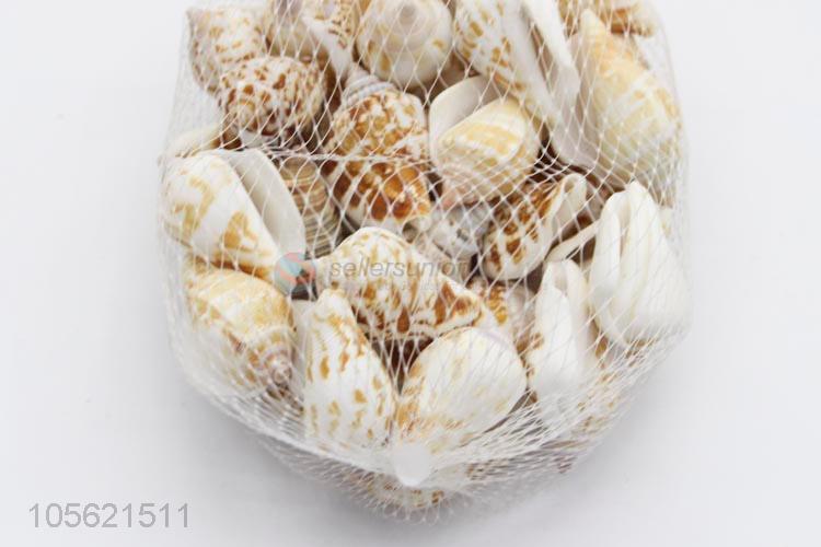 Factory Price Aquarium Decoration Conch Shells