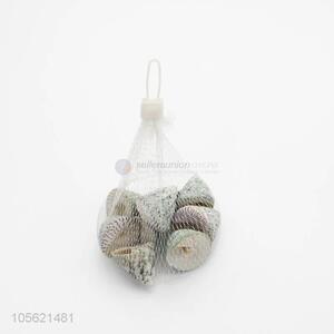 Direct Price DIY <em>Crafts</em> Supplies Mediterranean <em>Shell</em> Conch