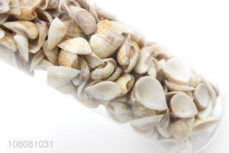 Popular sea shells landscape aquarium decorative