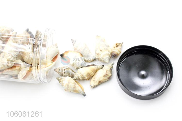 High quality natural sea shell best conch crafts