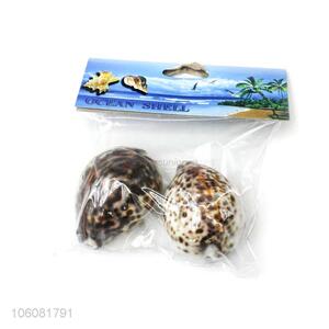 Good quality natural sea <em>shell</em> best conch <em>crafts</em>