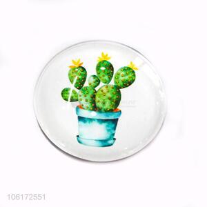 Reasonable price decorative cactus picture glass fridge magnet