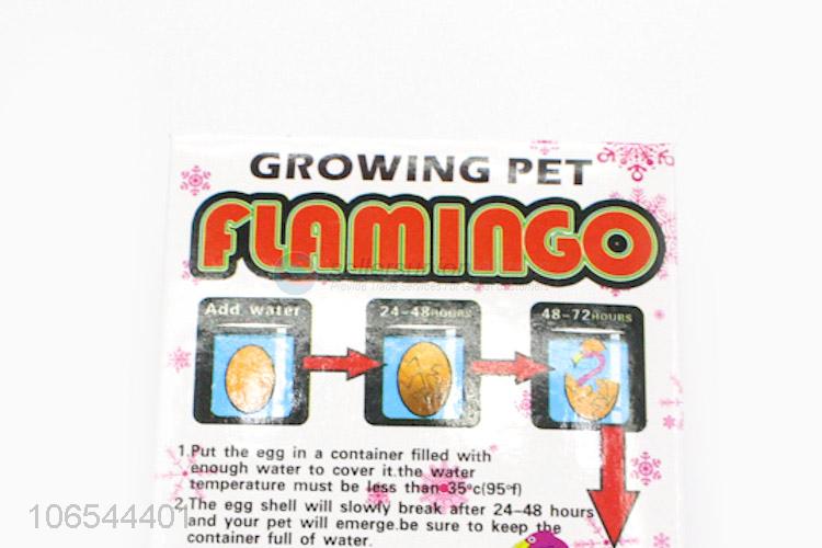 New Design Magic Growing Hatching Flamingo Toy Egg